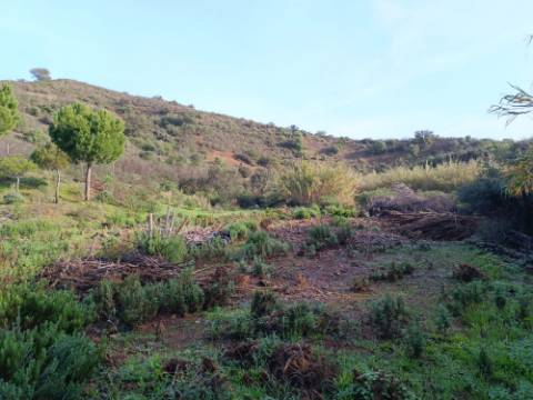 TERRENO COM 23.440 M2 - COM ESTUFAS - LINHA D'AGUA - TANOEIRO - CASTRO MARIM - ALGARVE