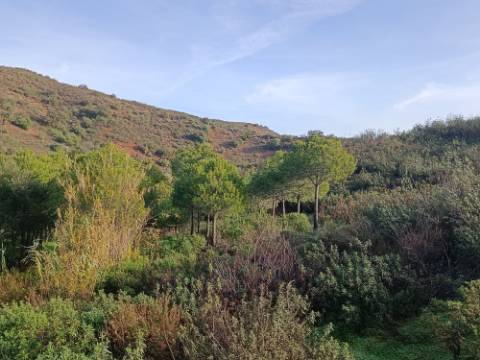 TERRENO COM 23.440 M2 - COM ESTUFAS - LINHA D'AGUA - TANOEIRO - CASTRO MARIM - ALGARVE