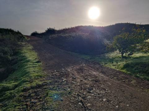 TERRENO COM 23.440 M2 - COM ESTUFAS - LINHA D'AGUA - TANOEIRO - CASTRO MARIM - ALGARVE