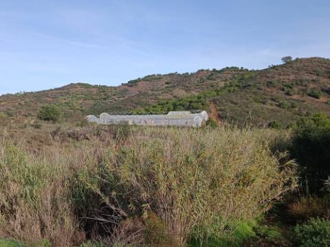 TERRENO COM 23.440 M2 - COM ESTUFAS - LINHA D'AGUA - TANOEIRO - CASTRO MARIM - ALGARVE