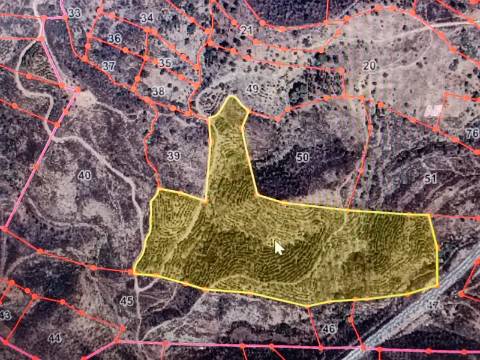TERRENO COM 87.920 M2 - COM POSSIBILIDADE DE CONSTRUÇÃO - HABITAÇÃO - TURISMO - SENTINELA - AZINHAL - CASTRO MARIM - ALGARVE