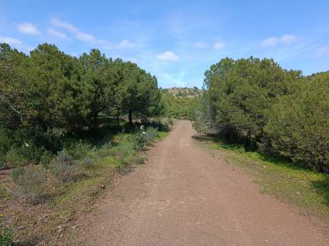 TERRENO COM 87.920 M2 - COM POSSIBILIDADE DE CONSTRUÇÃO - HABITAÇÃO - TURISMO - SENTINELA - AZINHAL - CASTRO MARIM - ALGARVE