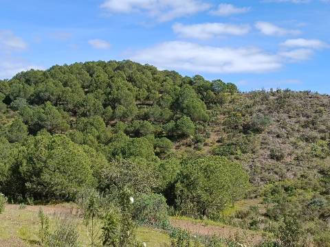 TERRENO COM 87.920 M2 - COM POSSIBILIDADE DE CONSTRUÇÃO - HABITAÇÃO - TURISMO - SENTINELA - AZINHAL - CASTRO MARIM - ALGARVE