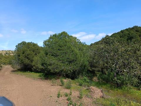 TERRENO COM 87.920 M2 - COM POSSIBILIDADE DE CONSTRUÇÃO - HABITAÇÃO - TURISMO - SENTINELA - AZINHAL - CASTRO MARIM - ALGARVE