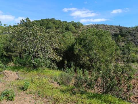 TERRENO COM 87.920 M2 - COM POSSIBILIDADE DE CONSTRUÇÃO - HABITAÇÃO - TURISMO - SENTINELA - AZINHAL - CASTRO MARIM - ALGARVE