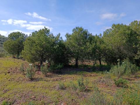 TERRENO COM 87.920 M2 - COM POSSIBILIDADE DE CONSTRUÇÃO - HABITAÇÃO - TURISMO - SENTINELA - AZINHAL - CASTRO MARIM - ALGARVE