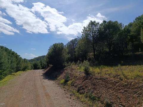 TERRENO COM 87.920 M2 - COM POSSIBILIDADE DE CONSTRUÇÃO - HABITAÇÃO - TURISMO - SENTINELA - AZINHAL - CASTRO MARIM - ALGARVE