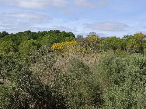 TERRENO COM 87.920 M2 - COM POSSIBILIDADE DE CONSTRUÇÃO - HABITAÇÃO - TURISMO - SENTINELA - AZINHAL - CASTRO MARIM - ALGARVE