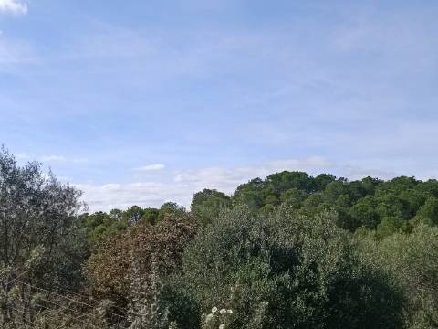 TERRENO COM 87.920 M2 - COM POSSIBILIDADE DE CONSTRUÇÃO - HABITAÇÃO - TURISMO - SENTINELA - AZINHAL - CASTRO MARIM - ALGARVE