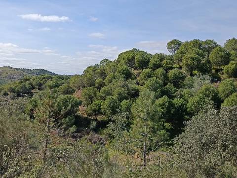 TERRENO COM 87.920 M2 - COM POSSIBILIDADE DE CONSTRUÇÃO - HABITAÇÃO - TURISMO - SENTINELA - AZINHAL - CASTRO MARIM - ALGARVE