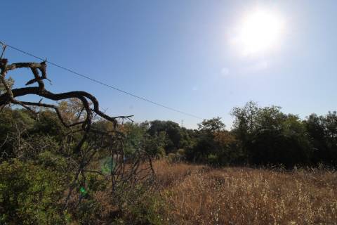 Terreno rústico com 1.600 m2