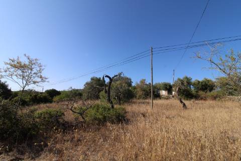 Terreno rústico com 1.600 m2