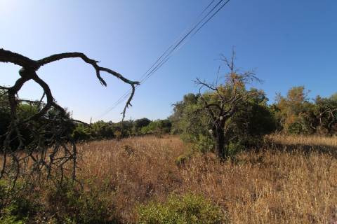 Terreno rústico com 1.600 m2