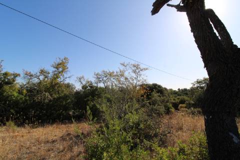 Terreno rústico com 1.600 m2