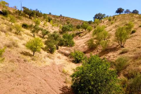 TERRENO MISTO COM 1.200 M2 ÁREA URBANA E 12.7 HECTARES DE TERRENO COM LAGO PRIVADO EM BOTELHAS - CASTRO MARIM