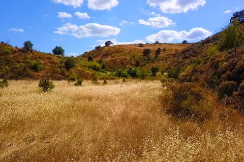 TERRENO MISTO COM 1.200 M2 ÁREA URBANA E 12.7 HECTARES DE TERRENO COM LAGO PRIVADO EM BOTELHAS - CASTRO MARIM