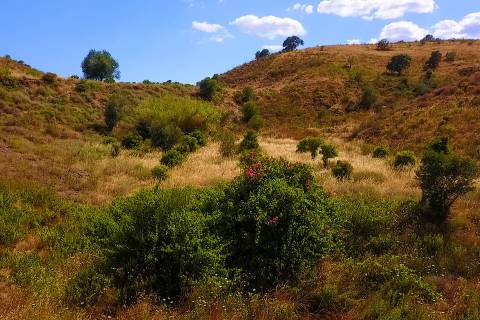 TERRENO MISTO COM 1.200 M2 ÁREA URBANA E 12.7 HECTARES DE TERRENO COM LAGO PRIVADO EM BOTELHAS - CASTRO MARIM