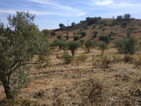 TERRENO MISTO COM 1.200 M2 ÁREA URBANA E 12.7 HECTARES DE TERRENO COM LAGO PRIVADO EM BOTELHAS - CASTRO MARIM