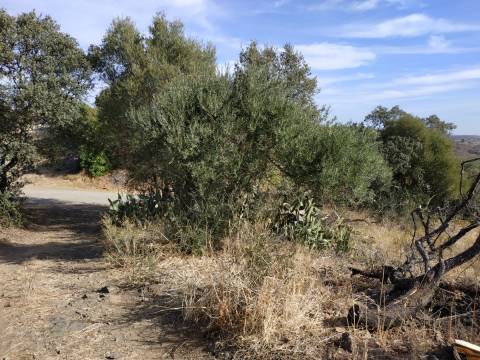 TERRENO MISTO COM 1.200 M2 ÁREA URBANA E 12.7 HECTARES DE TERRENO COM LAGO PRIVADO EM BOTELHAS - CASTRO MARIM