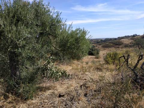 TERRENO MISTO COM 1.200 M2 ÁREA URBANA E 12.7 HECTARES DE TERRENO COM LAGO PRIVADO EM BOTELHAS - CASTRO MARIM
