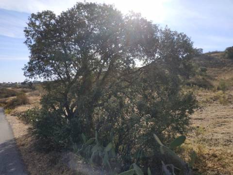 TERRENO MISTO COM 1.200 M2 ÁREA URBANA E 12.7 HECTARES DE TERRENO COM LAGO PRIVADO EM BOTELHAS - CASTRO MARIM