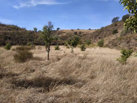 TERRENO MISTO COM 1.200 M2 ÁREA URBANA E 12.7 HECTARES DE TERRENO COM LAGO PRIVADO EM BOTELHAS - CASTRO MARIM