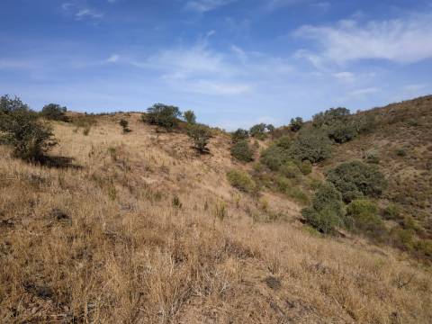 TERRENO MISTO COM 1.200 M2 ÁREA URBANA E 12.7 HECTARES DE TERRENO COM LAGO PRIVADO EM BOTELHAS - CASTRO MARIM