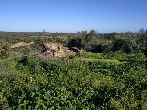 MORADIA T3 - COM SUITE - COM PROJECTO APROVADO - RECONSTRUIR - ALCARIAS GRANDES - CASTRO MARIM - ALGARVE