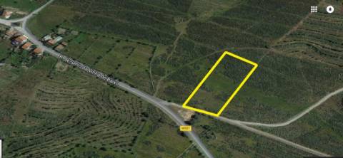 Terreno rústico em Alcoutim