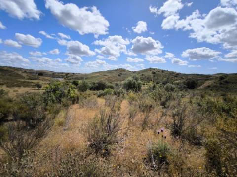 TERRENO RUSTICO COM 18.370 M2 - COM POÇO - VISTA LAGO - BOTELHAS - CASTRO MARIM - ALGARVE