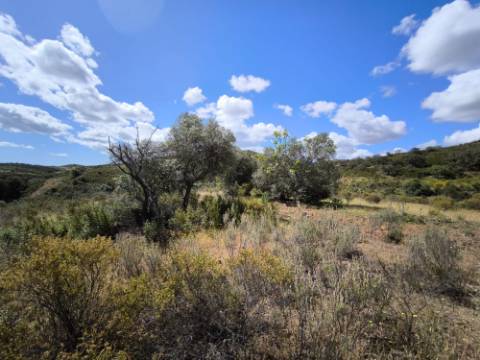 TERRENO RUSTICO COM 18.370 M2 - COM POÇO - VISTA LAGO - BOTELHAS - CASTRO MARIM - ALGARVE