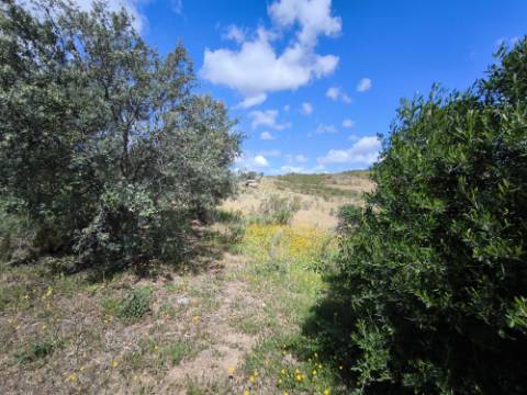 TERRENO RUSTICO COM 18.370 M2 - COM POÇO - VISTA LAGO - BOTELHAS - CASTRO MARIM - ALGARVE