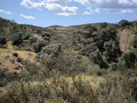 TERRENO RUSTICO COM 18.370 M2 - COM POÇO - VISTA LAGO - BOTELHAS - CASTRO MARIM - ALGARVE