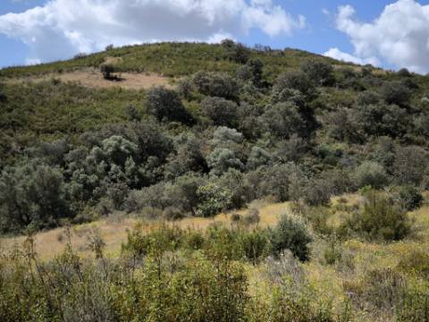 TERRENO RUSTICO COM 18.370 M2 - COM POÇO - VISTA LAGO - BOTELHAS - CASTRO MARIM - ALGARVE