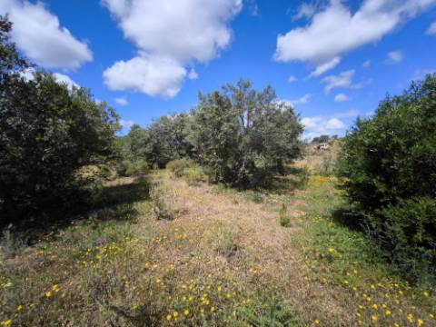 TERRENO RUSTICO COM 18.370 M2 - COM POÇO - VISTA LAGO - BOTELHAS - CASTRO MARIM - ALGARVE