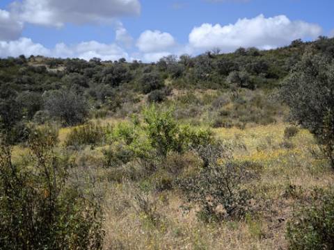 TERRENO RUSTICO COM 18.370 M2 - COM POÇO - VISTA LAGO - BOTELHAS - CASTRO MARIM - ALGARVE