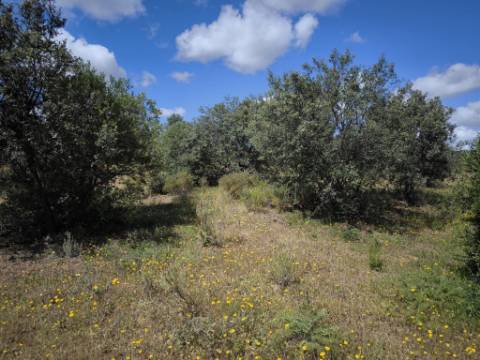 TERRENO RUSTICO COM 18.370 M2 - COM POÇO - VISTA LAGO - BOTELHAS - CASTRO MARIM - ALGARVE