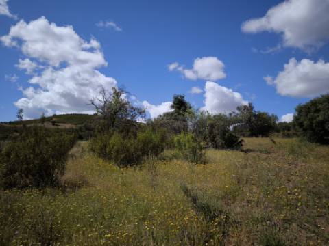 TERRENO RUSTICO COM 18.370 M2 - COM POÇO - VISTA LAGO - BOTELHAS - CASTRO MARIM - ALGARVE