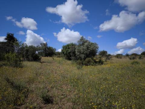 TERRENO RUSTICO COM 18.370 M2 - COM POÇO - VISTA LAGO - BOTELHAS - CASTRO MARIM - ALGARVE