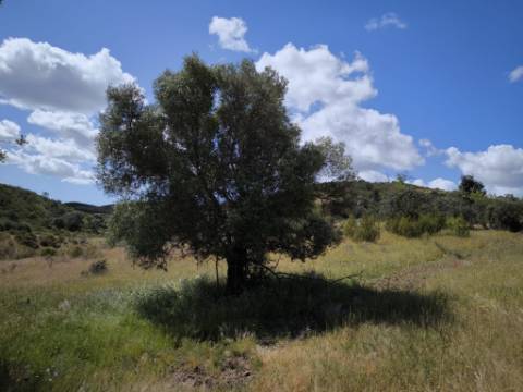 TERRENO RUSTICO COM 18.370 M2 - COM POÇO - VISTA LAGO - BOTELHAS - CASTRO MARIM - ALGARVE