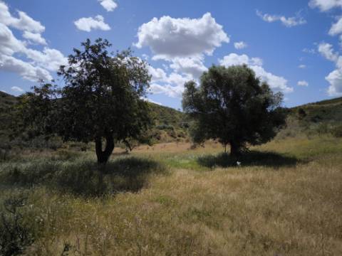 TERRENO RUSTICO COM 18.370 M2 - COM POÇO - VISTA LAGO - BOTELHAS - CASTRO MARIM - ALGARVE