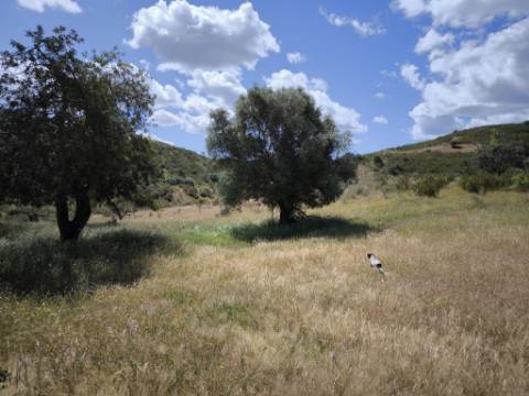 TERRENO RUSTICO COM 18.370 M2 - COM POÇO - VISTA LAGO - BOTELHAS - CASTRO MARIM - ALGARVE