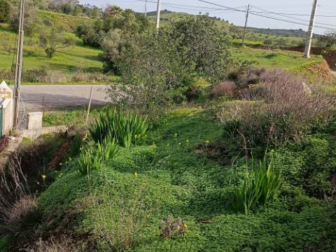 MORADIA TÉRREA - COM TERRENO DE 11.820 M2 - COM POMAR - RIO SECO - CASTRO MARIM - ALGARVE