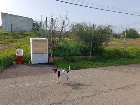 MORADIA TÉRREA - COM TERRENO DE 11.820 M2 - COM POMAR - RIO SECO - CASTRO MARIM - ALGARVE