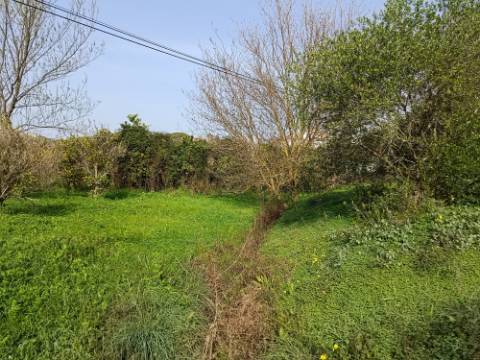 MORADIA TÉRREA - COM TERRENO DE 11.820 M2 - COM POMAR - RIO SECO - CASTRO MARIM - ALGARVE