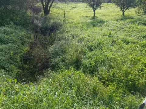 MORADIA TÉRREA - COM TERRENO DE 11.820 M2 - COM POMAR - RIO SECO - CASTRO MARIM - ALGARVE