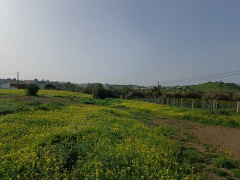 MORADIA TÉRREA - COM TERRENO DE 11.820 M2 - COM POMAR - RIO SECO - CASTRO MARIM - ALGARVE