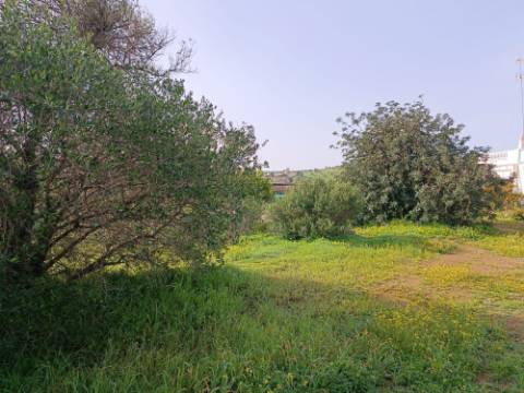 MORADIA TÉRREA - COM TERRENO DE 11.820 M2 - COM POMAR - RIO SECO - CASTRO MARIM - ALGARVE