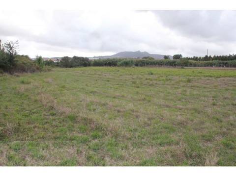 Terreno Industrializado no Ral - Terrugem