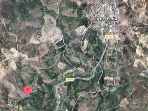 TERRENO RÚSTICO COM 15.560 M2 BONS ACESSOS - NA CORTELHA - AZINHAL - CASTRO MARIM - ALGARVE